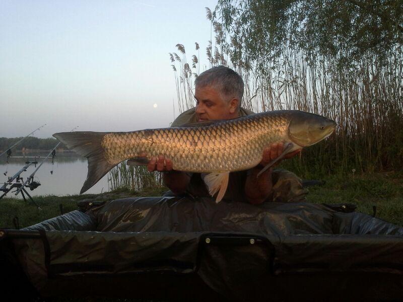 Pescuit la crap - img-20130427-wa0001.jpg